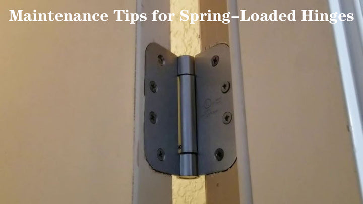 Maintenance Tips for Spring-Loaded Hinges